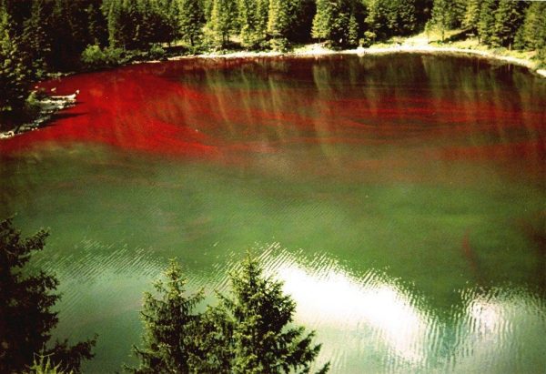 Lago Di Tovel Il Lago Rosso Tutto Quello Che Hai Sempre Voluto Sapere