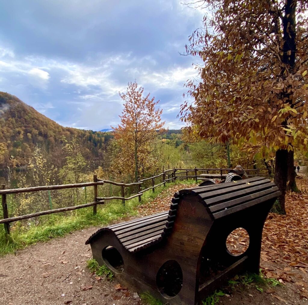 Passeggiata Ai Laghi Di Monticolo Sentirsi Felici Nella Natura