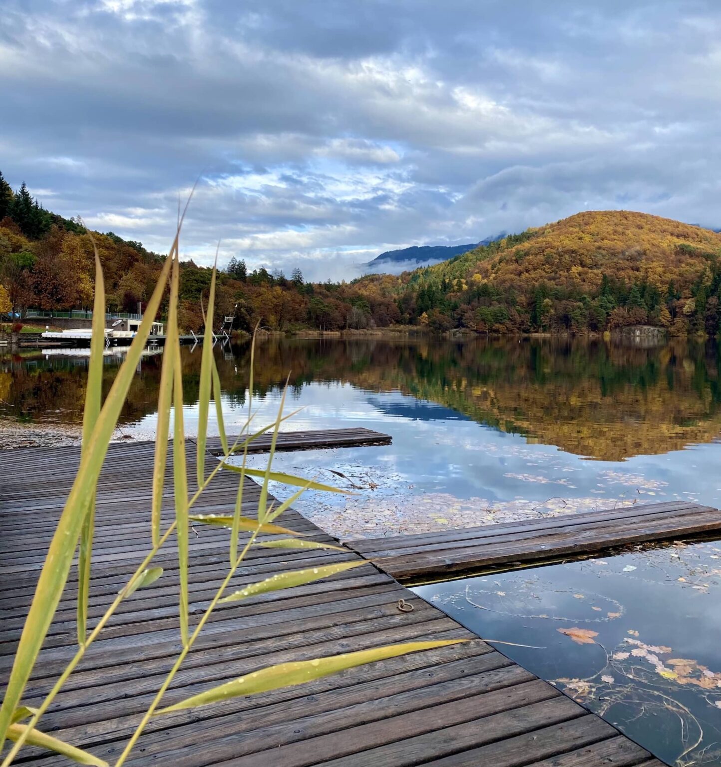 Passeggiata Ai Laghi Di Monticolo Sentirsi Felici Nella Natura