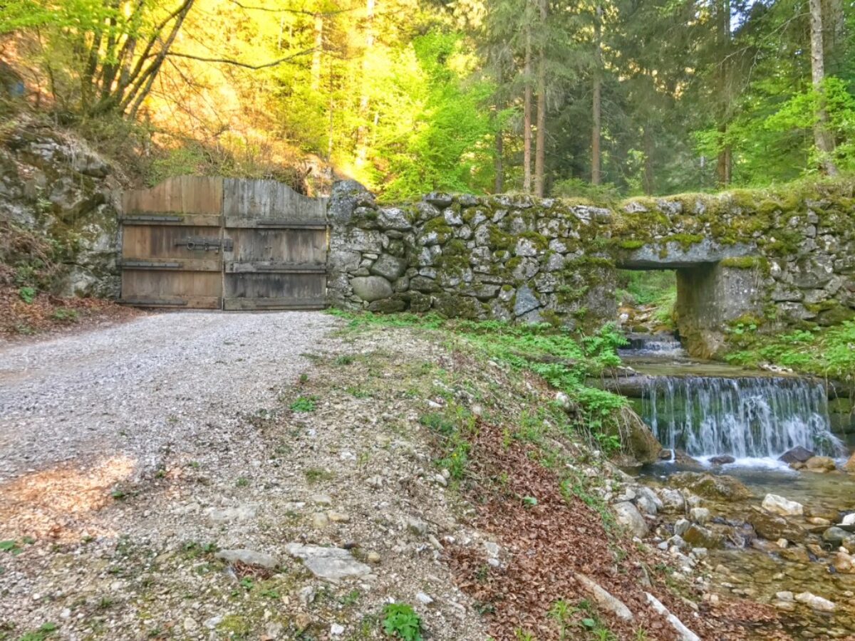 Vallavena. Alla scoperta di quella misteriosa porta nel bosco