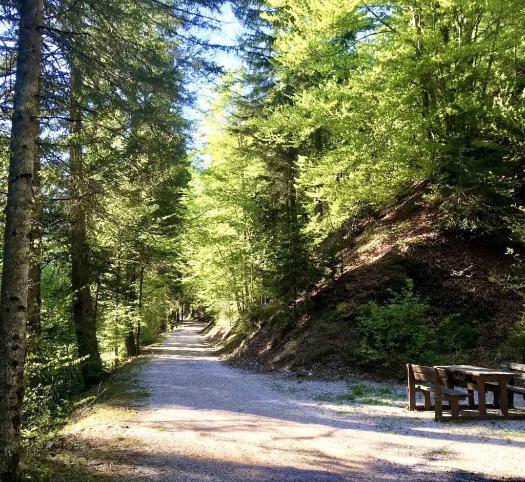 Vallavena. Alla scoperta di quella misteriosa porta nel bosco