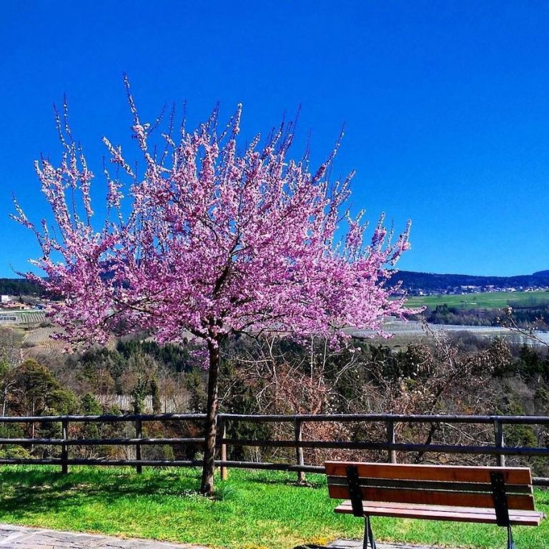 Cosa Devi Sapere Per Goderti La Montagna In Primavera