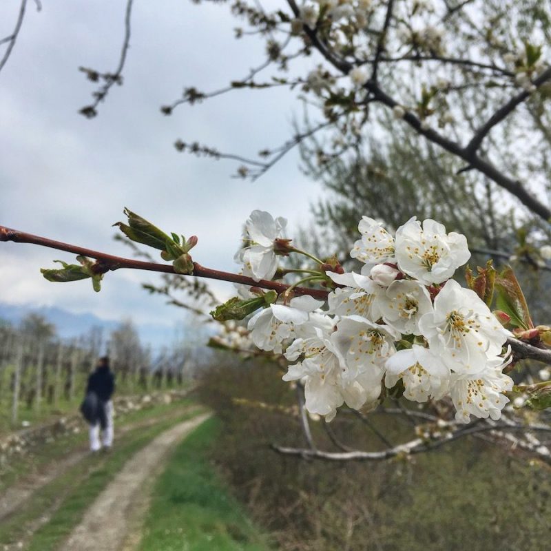 Cosa Devi Sapere Per Goderti La Montagna In Primavera