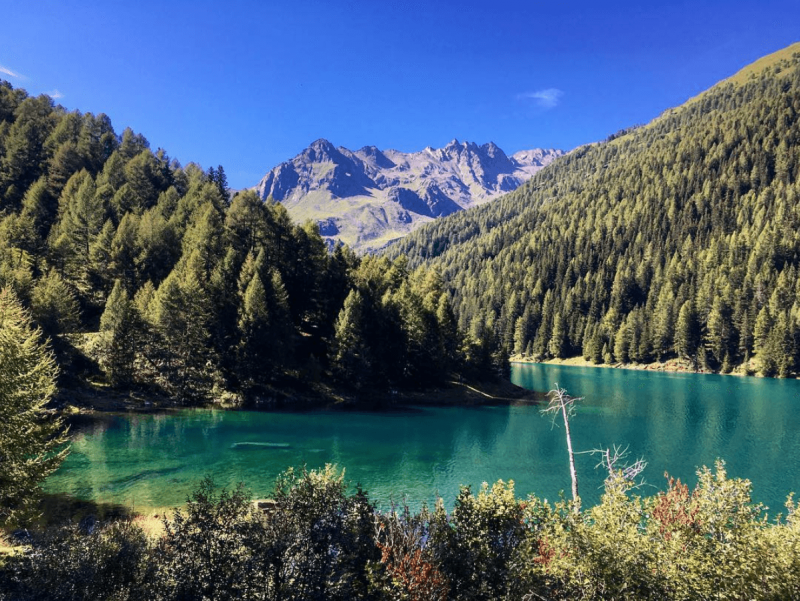 7 cose da fare in Val di Sole. Scopri una valle bellissima in Trentino