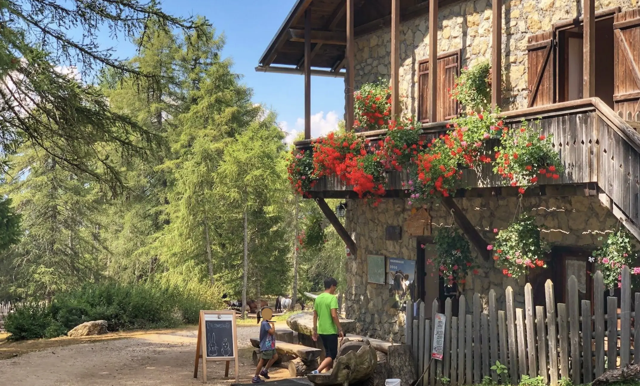 Non passare per il bosco - Trentino Cultura