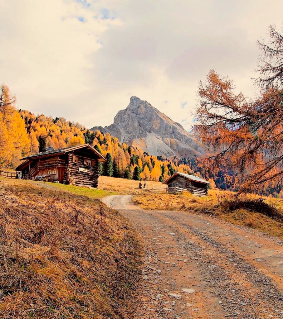 valli del trentino in autunno-val san nicolò