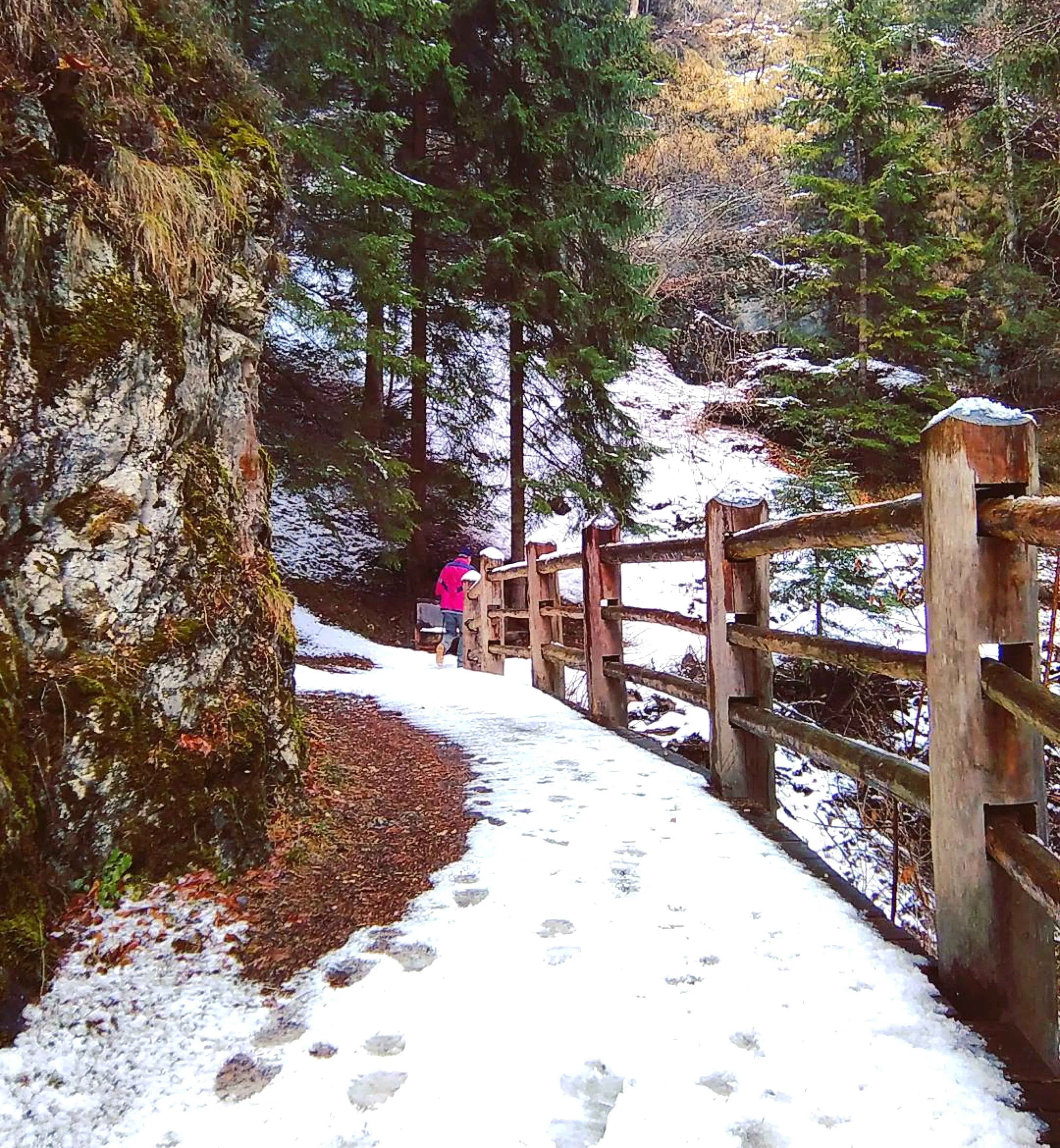 Sentieri sulla neve - GognaBlog