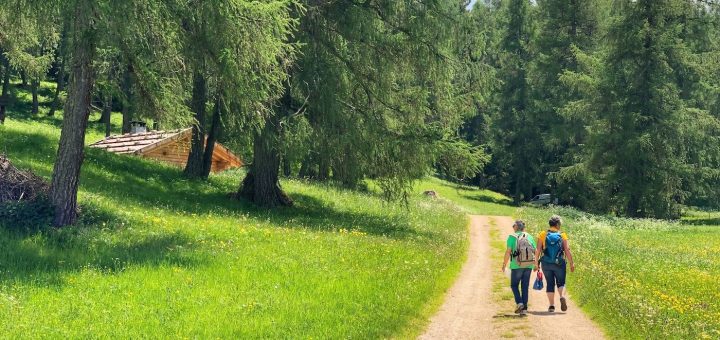 passeggiate in piano in Val di Non