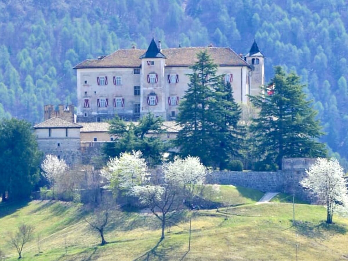 Non passare per il bosco - Trentino Cultura