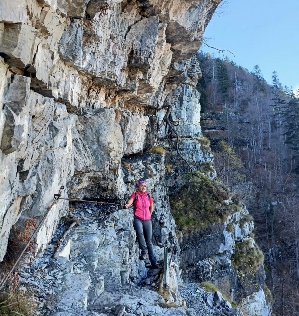 sentiero donini verso malga andalo