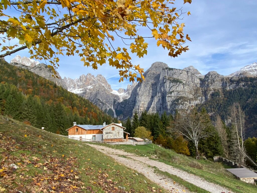 Prospettiva con colori d'autunno sulla malga andalo e le dolomiti di brenta