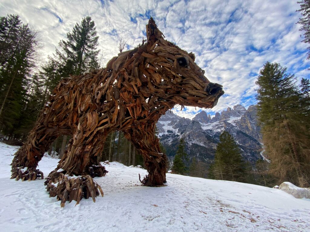 orso del pradel d'inverno