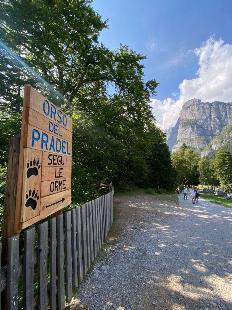 segnaletica verso l'orso del pradel