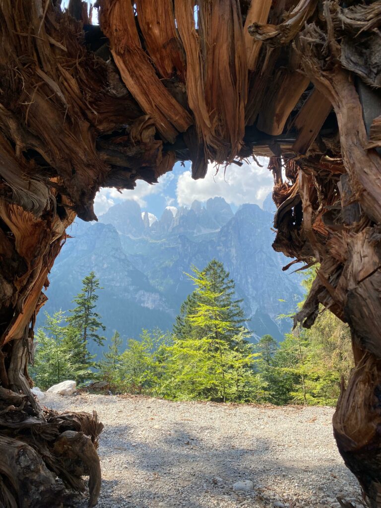 vista sulle Dolomiti dall'orso del pradel